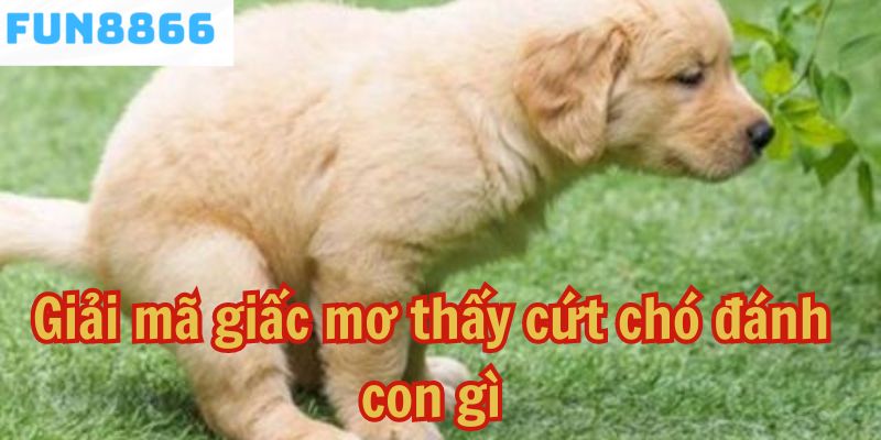 Giải mã giấc mơ thấy cứt chó đánh con gì